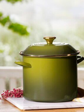 Le Creuset Enamel on Steel Stockpot, Olive
